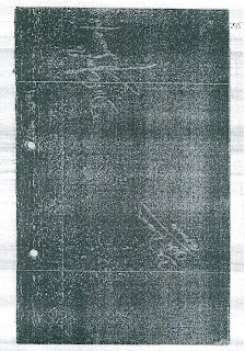 Folio No. 295
