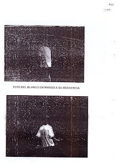 Folio No. 300