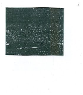 Folio 8