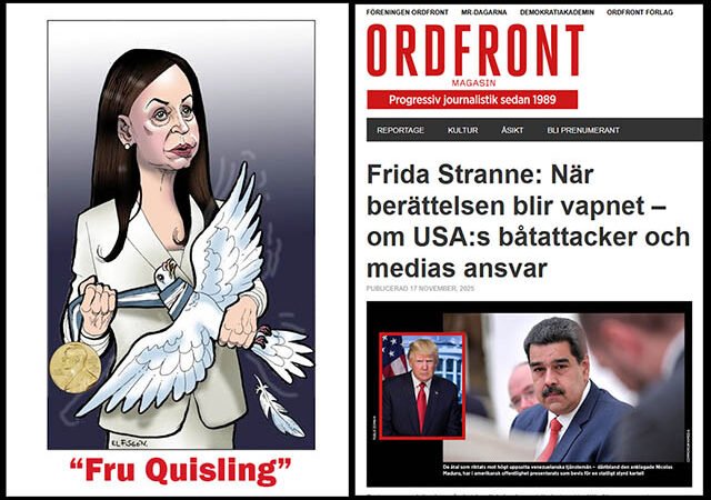 Sveriges Fredsråd utdelar det Alternativa Fredspriset till Frida Stranne